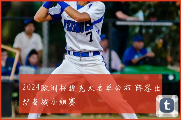 2024欧洲杯捷克大名单公布 阵容出炉备战小组赛