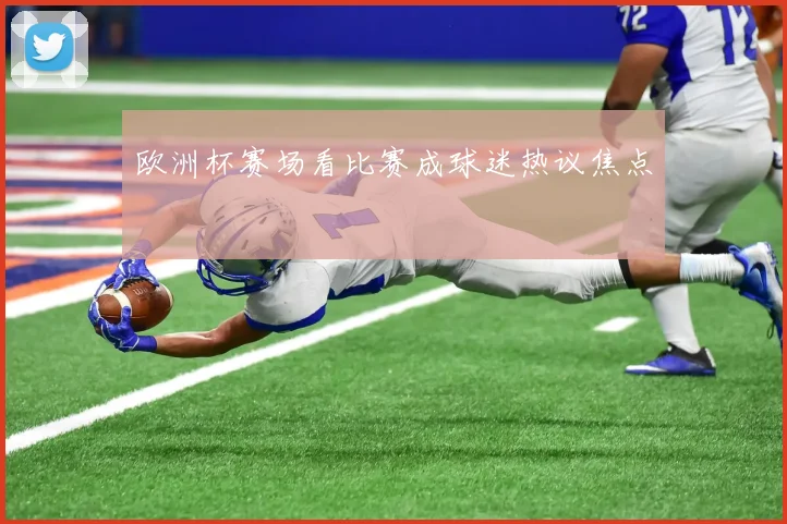 欧洲杯赛场看比赛成球迷热议焦点