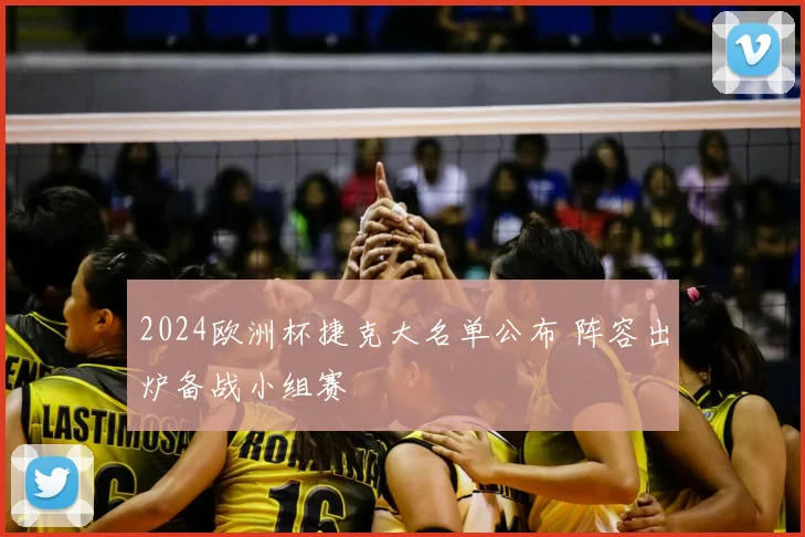 2024欧洲杯捷克大名单公布 阵容出炉备战小组赛