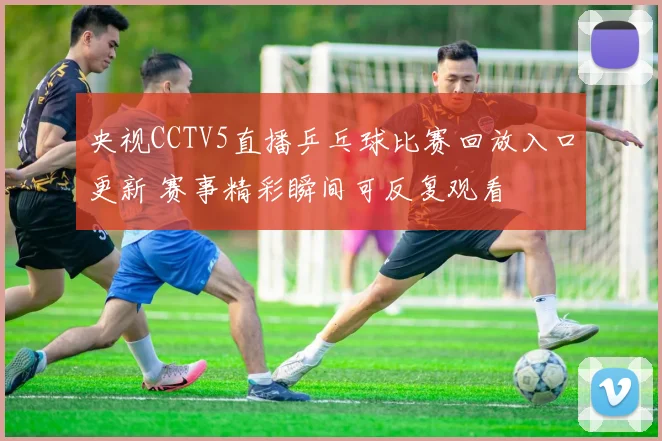 央视CCTV5直播乒乓球比赛回放入口更新 赛事精彩瞬间可反复观看