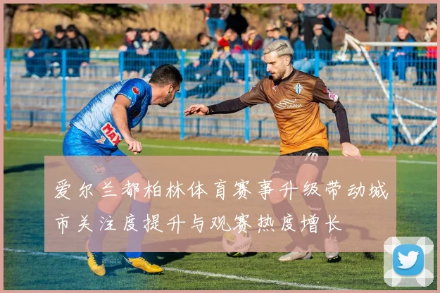爱尔兰都柏林体育赛事升级带动城市关注度提升与观赛热度增长