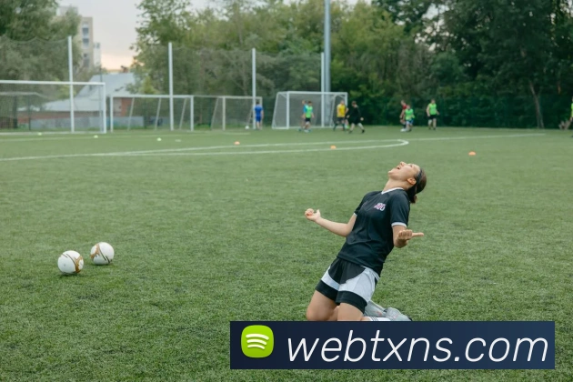 开云在线登录入口官网APP 封面图